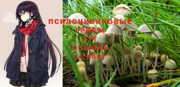 шишки Алексеевка