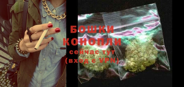 шишки Алексеевка
