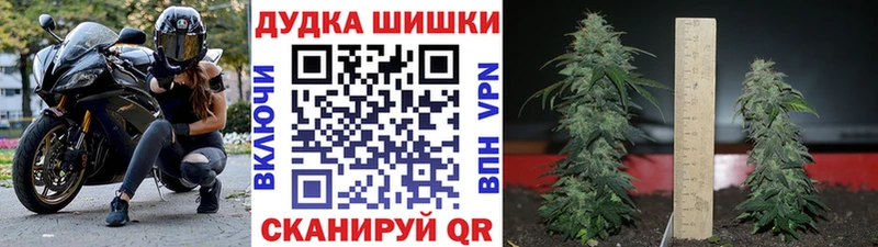 omg ТОР  Нея  Канабис Bruce Banner 